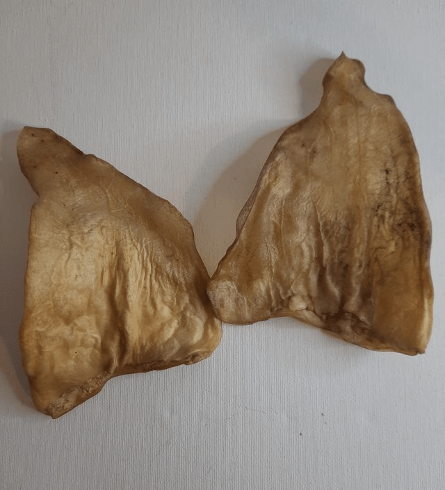 Cow Ear 