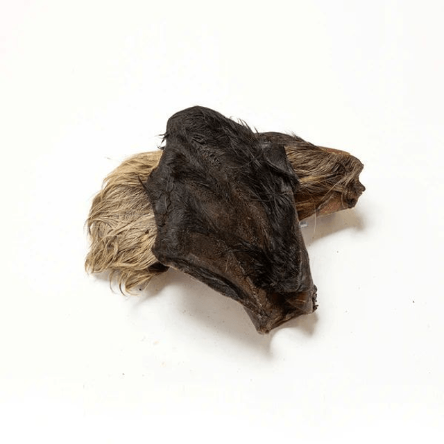 Hairy Cow Ear
