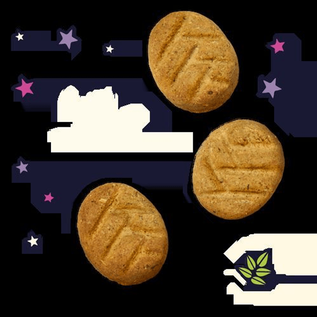 Lily's Kitchen Bedtime Organic Biscuits 80g