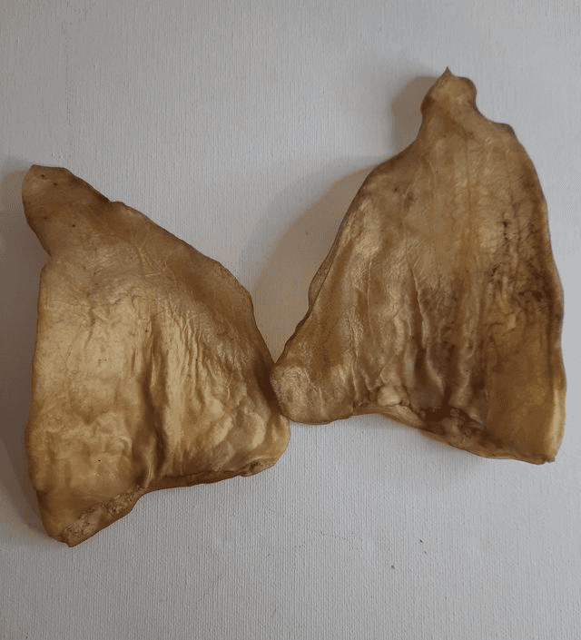 Cow Ear 