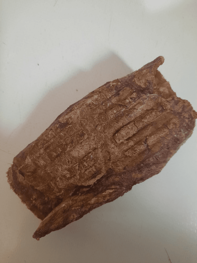 Buffalo Trachea wrapped in Buffalo Lung