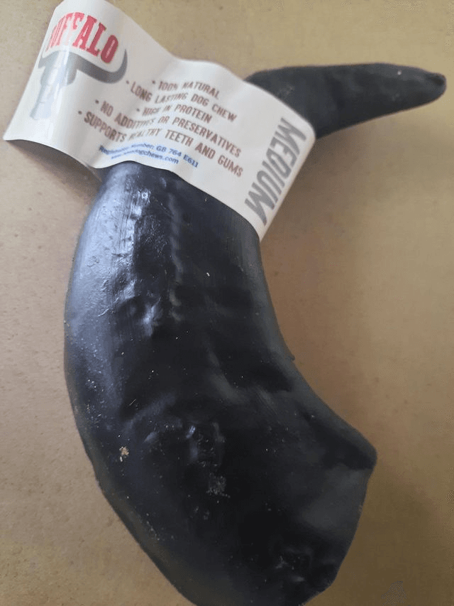 Buffalo Horn