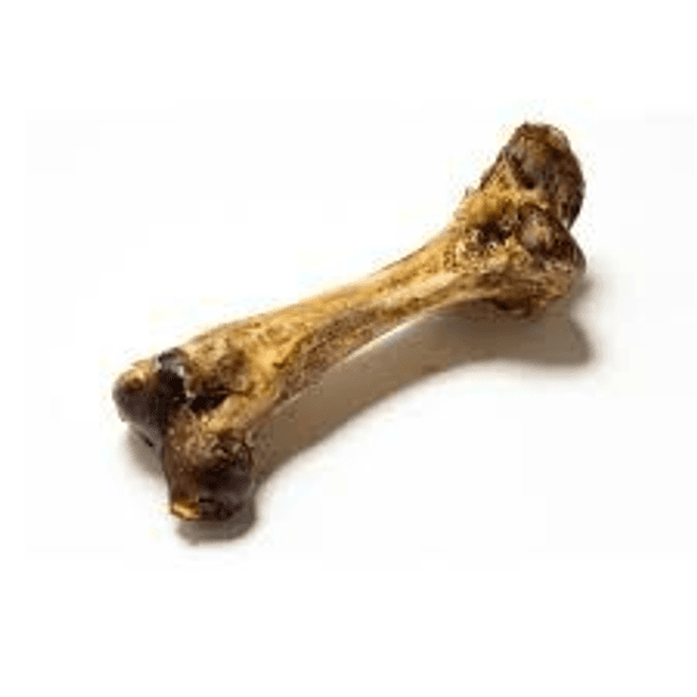 Jumbo Ostrich Bone