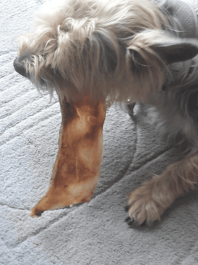 Moon Bone