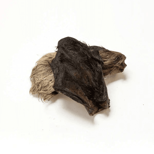 Hairy Cow Ear