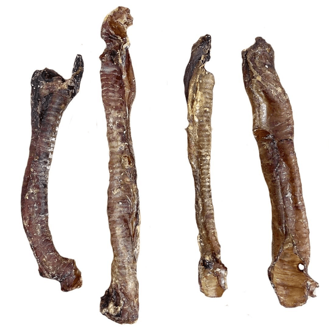 Lamb Trachea 100g bagged