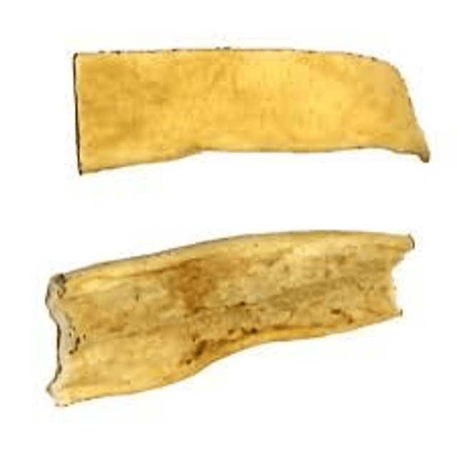 Water Buffalo Head Skin