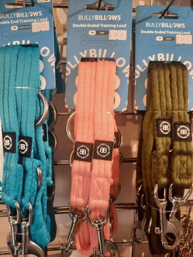 BullyBillows - Double Ended Training Lead In Various Colours