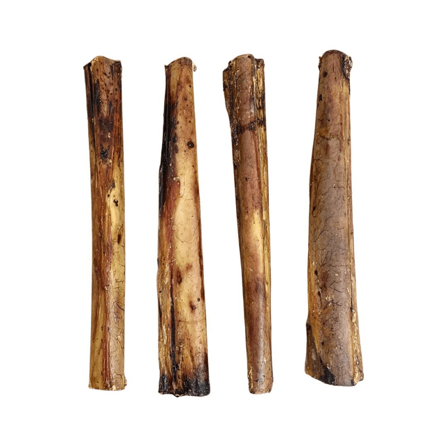 Ostrich Marrow Bone - One Piece Approx 20cm