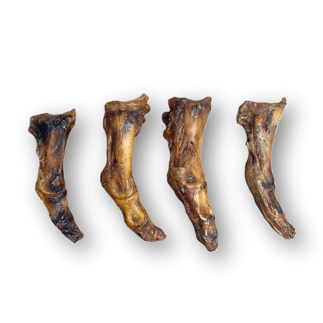 Ostrich Foot